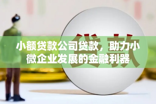 上林小额贷款公司贷款，助力小微企业发展的金融利器