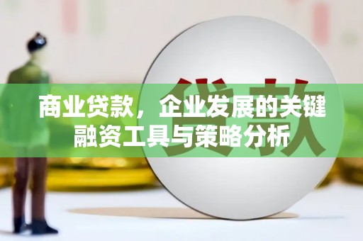 上林商业贷款，企业发展的关键融资工具与策略分析