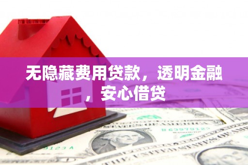 上林无隐藏费用贷款，透明金融，安心借贷
