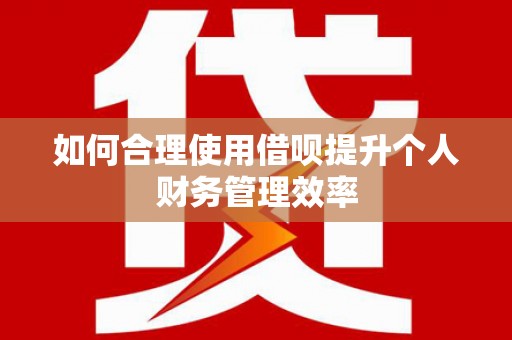 上林如何合理使用借呗提升个人财务管理效率