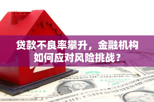 上林贷款不良率攀升，金融机构如何应对风险挑战？