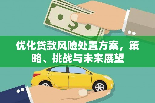 上林优化贷款风险处置方案，策略、挑战与未来展望