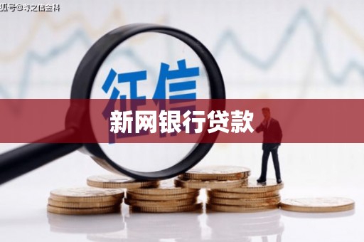 上林新网银行贷款