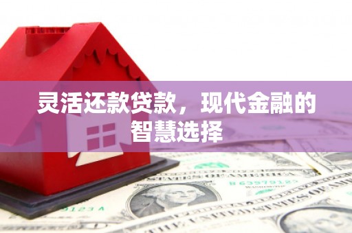 上林灵活还款贷款，现代金融的智慧选择