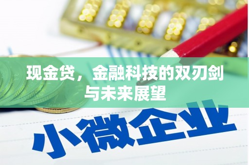 上林现金贷，金融科技的双刃剑与未来展望