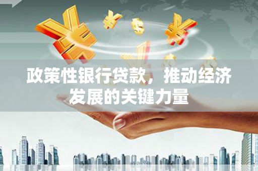 上林政策性银行贷款，推动经济发展的关键力量