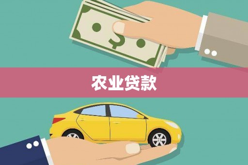 上林农业贷款