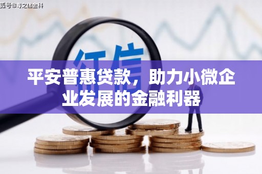 上林平安普惠贷款，助力小微企业发展的金融利器