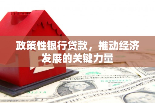 上林政策性银行贷款，推动经济发展的关键力量