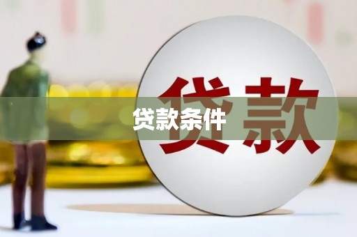 上林贷款条件