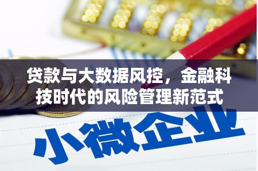 上林贷款与大数据风控，金融科技时代的风险管理新范式