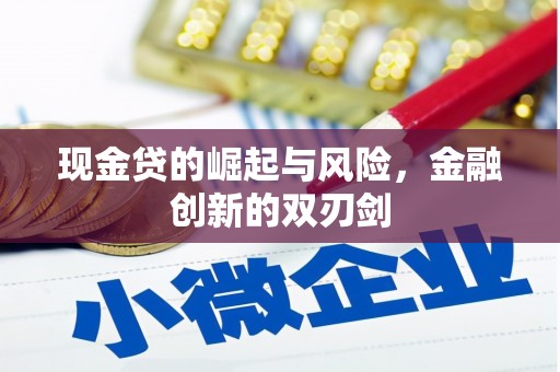 上林现金贷的崛起与风险，金融创新的双刃剑