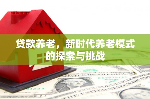 上林贷款养老，新时代养老模式的探索与挑战