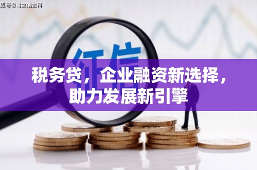 上林税务贷，企业融资新选择，助力发展新引擎