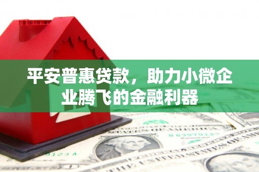 上林平安普惠贷款，助力小微企业腾飞的金融利器
