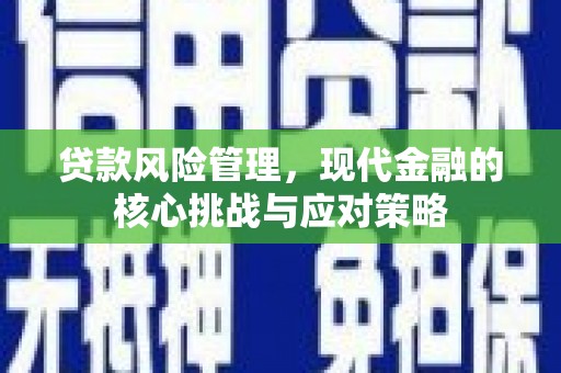 上林贷款风险管理，现代金融的核心挑战与应对策略