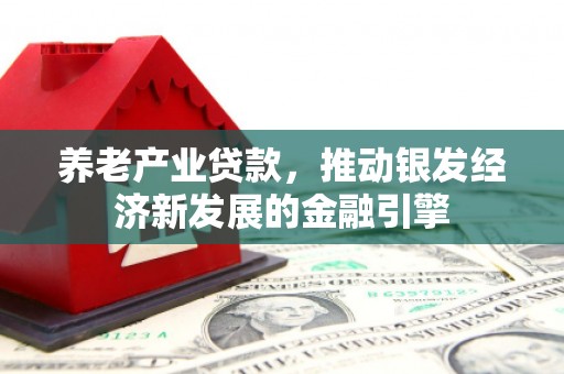 上林养老产业贷款，推动银发经济新发展的金融引擎
