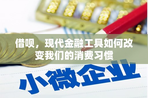 上林借呗，现代金融工具如何改变我们的消费习惯