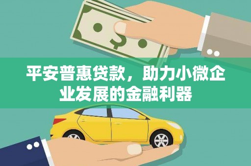 上林平安普惠贷款，助力小微企业发展的金融利器