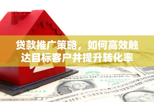 上林贷款推广策略，如何高效触达目标客户并提升转化率