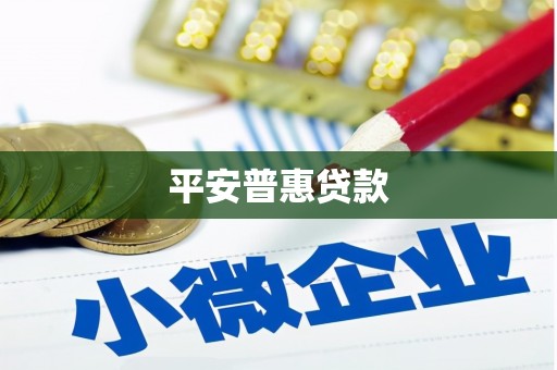 上林平安普惠贷款