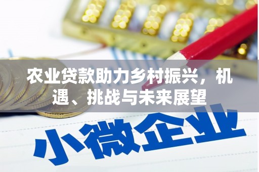 上林农业贷款助力乡村振兴，机遇、挑战与未来展望
