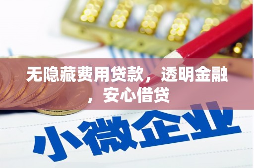 上林无隐藏费用贷款，透明金融，安心借贷