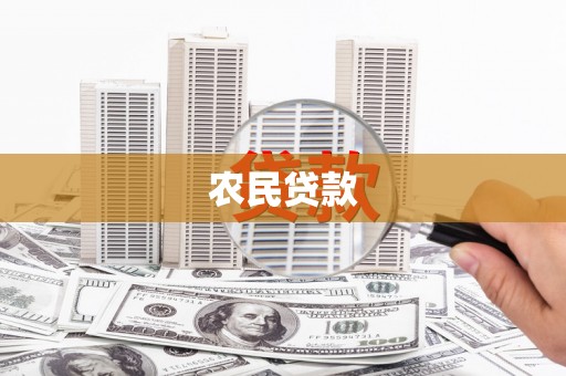上林农民贷款