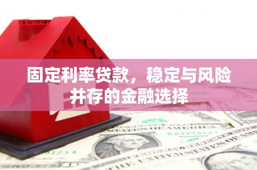 上林固定利率贷款，稳定与风险并存的金融选择
