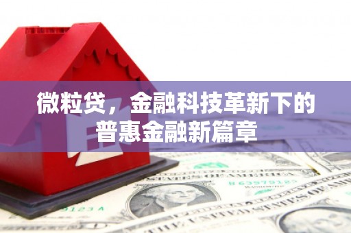 上林微粒贷，金融科技革新下的普惠金融新篇章