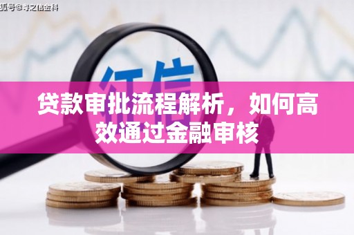 上林贷款审批流程解析，如何高效通过金融审核