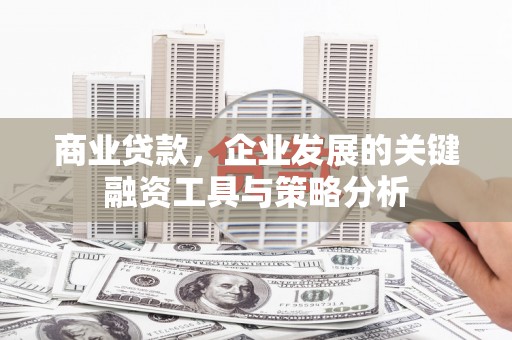 上林商业贷款，企业发展的关键融资工具与策略分析