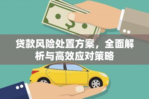 上林贷款风险处置方案，全面解析与高效应对策略