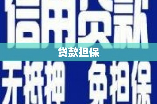 上林贷款担保