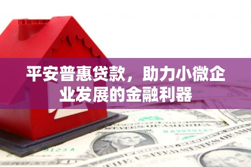 上林平安普惠贷款，助力小微企业发展的金融利器