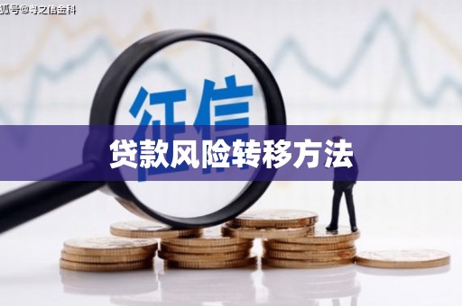 上林贷款风险转移方法