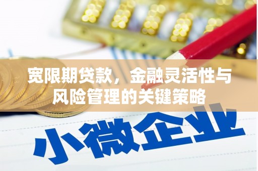 上林宽限期贷款，金融灵活性与风险管理的关键策略