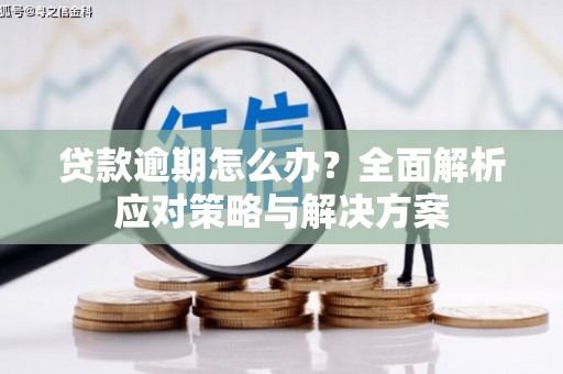 上林贷款逾期怎么办？全面解析应对策略与解决方案