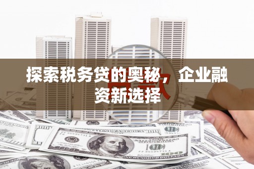 上林探索税务贷的奥秘，企业融资新选择