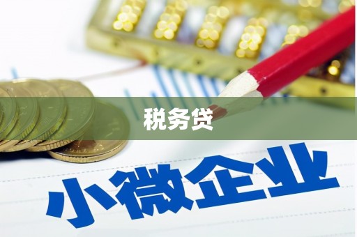 上林税务贷