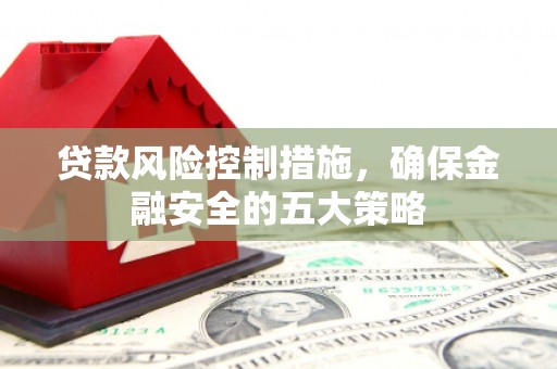 上林贷款风险控制措施，确保金融安全的五大策略