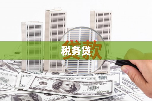 上林税务贷