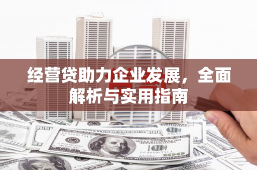 上林经营贷助力企业发展，全面解析与实用指南