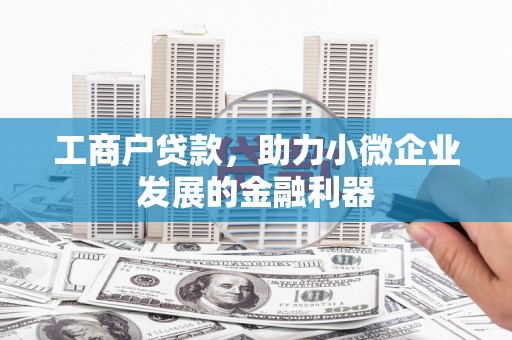 上林工商户贷款，助力小微企业发展的金融利器