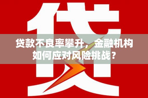 上林贷款不良率攀升，金融机构如何应对风险挑战？