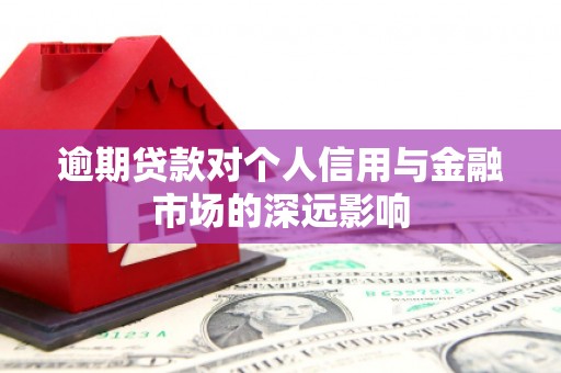 上林逾期贷款对个人信用与金融市场的深远影响