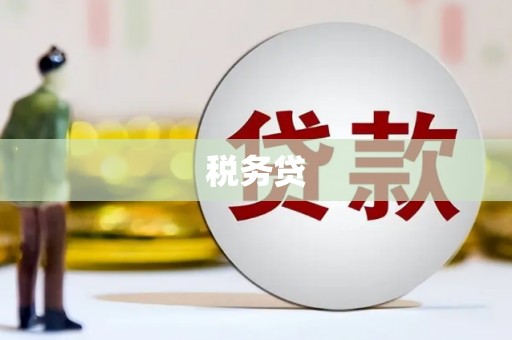 上林税务贷