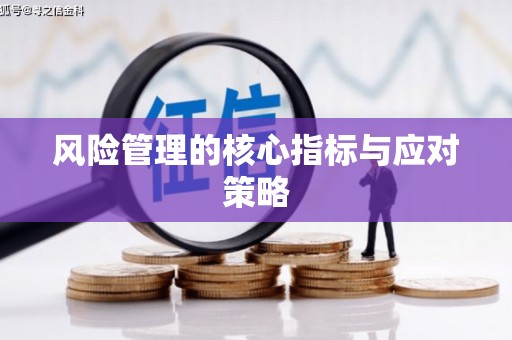 上林风险管理的核心指标与应对策略