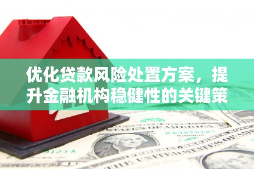 上林优化贷款风险处置方案，提升金融机构稳健性的关键策略