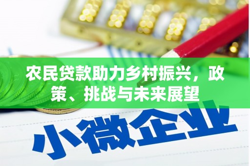 上林农民贷款助力乡村振兴，政策、挑战与未来展望